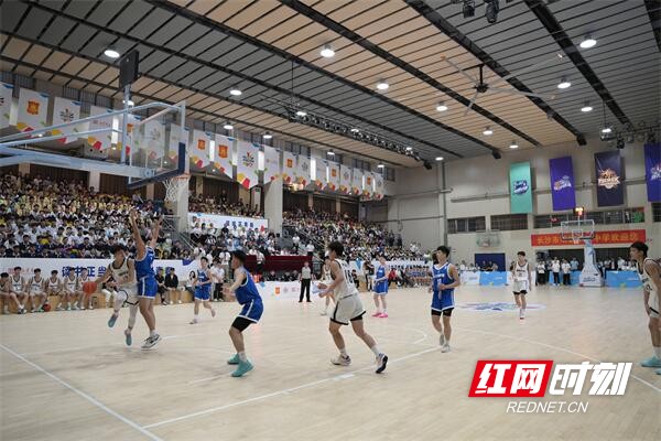 15分钟篮球基本功训练计划_2